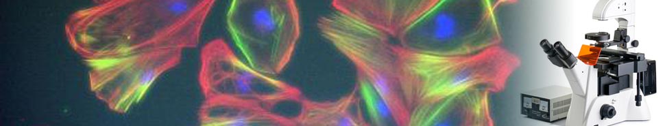 ���(y��ng)��䓰�